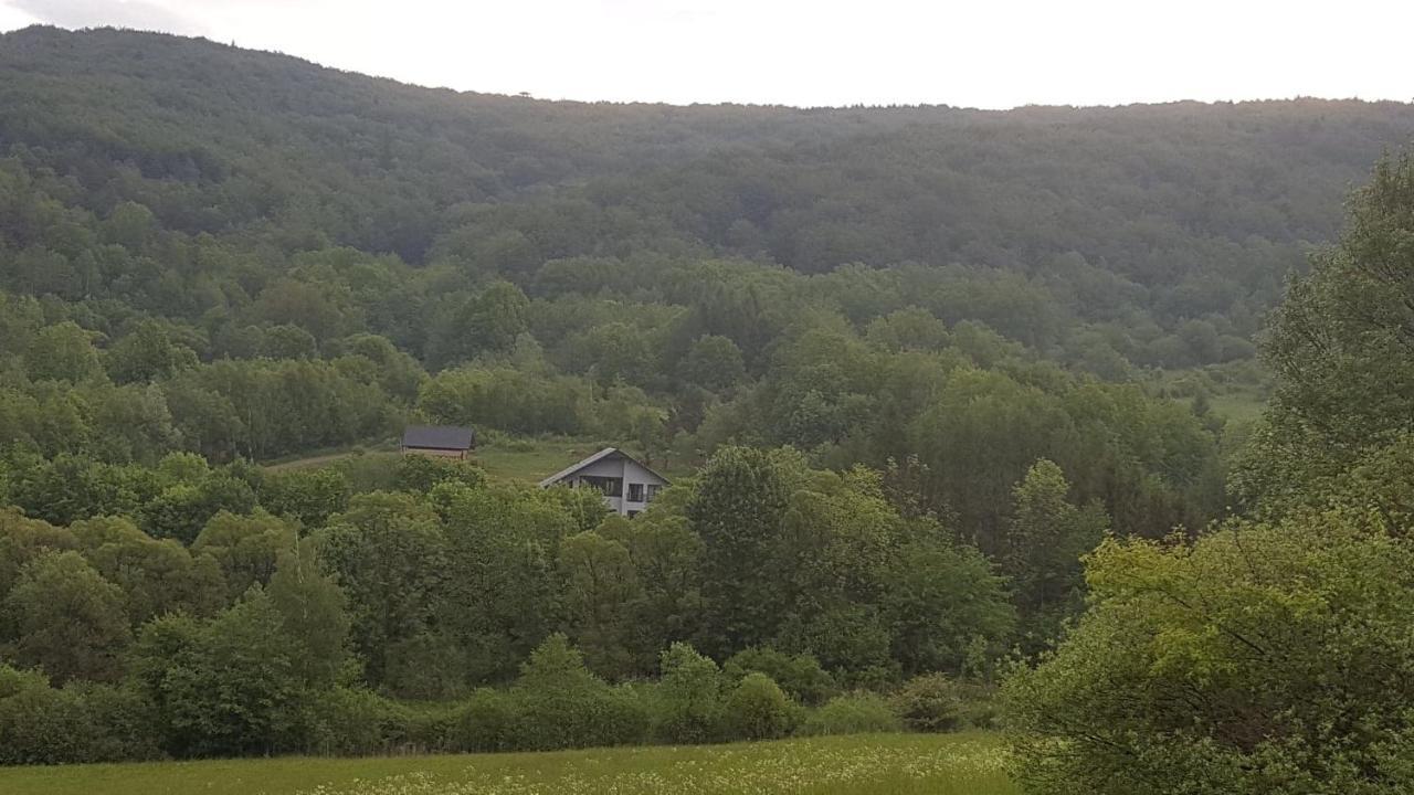 Marzeniec Pokoje Wapienne W Beskidzie Niskim Bed & Breakfast Bagian luar foto